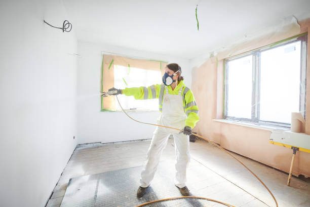 Best Ceiling Drywall Installation  in Lawton, IA