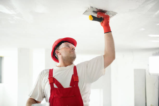 Best Residential Painting  in Lawton, IA