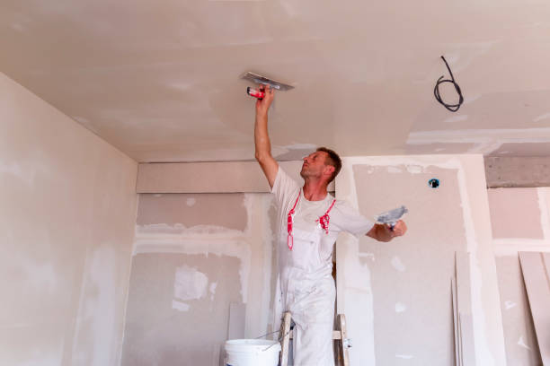 Lawton, IA Dry wall and painting Company